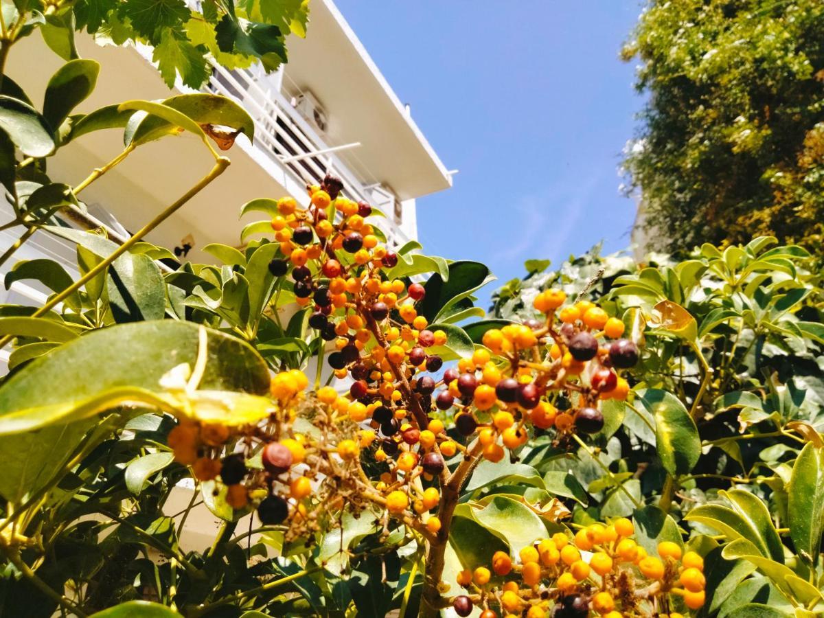 ホテルGolden Star Agia Marina  エクステリア 写真
